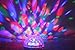 RAYKEY Disco Lights, Part Lights with Bluetooth Speaker for Party and Family Gathering