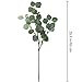 Winlyn Pack of 4 Artificial Silver Dollar Eucalyptus Leaves Spray Greenery Stems in Grey Green 25.5