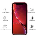 Q BOND ULTRA STRONG ADHESIVE GLUE & FILLING POWDER QB2