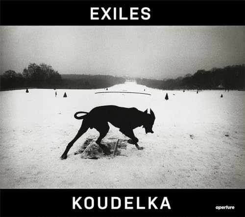 Amazon.com: Bruce Davidson: In Color: 9783869305646: Davidson