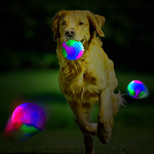 led dog balls