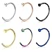 Feramox 18G 316L Stainless Steel Nose Rings Hoop Nose Piercing Body Jewelry 6PCS-10mm