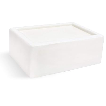 earthwise baby body wash