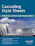 Cascading Style Sheets: Separating Content from Presentation, Second Edition by Owen Briggs