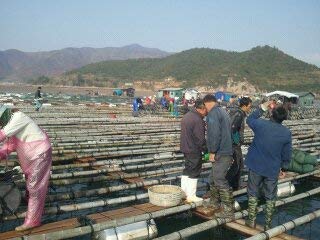 6 Strait+taiwan+dried+cooked+abalone