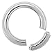 BodyJ4You Segment Ring 12 Gauge Stainless Steel Piercing Circular Barbell 1/2
