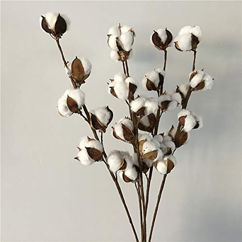 Wei Xi Cotton Stems 5 Pack 27 2 Inch Farmhouse Cotton Bolls