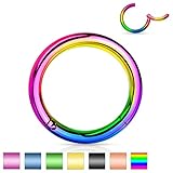 Pair of 316L Surgical Steel Hinged Segment WildKlass Rings