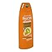 Garnier Hair Care Fructis Damage Eraser Shampoo, 13 Fluid Ounce