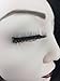 34 Model LUXURY 3D Mink Fur False Eyelashes Extensions 100% Hand Made 1Pair (DM1002) by Grace Beauty
