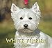 West Highland White Terrier 2020: Mittelformat-Kalender by