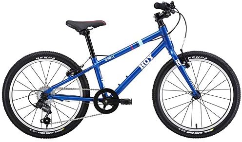 HOY Bonaly 20" Wheels 2019 Kids Mountain Bike 6 Speed Alloy Frame V Brakes Cycle