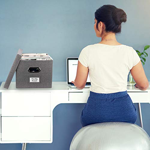 File Organizer Box Set of 2 - Collapsible Linen Filing Boxes for Easy File Folder Storage- Handles and Removable Lid | Organize Your Documents and Hanging Files in Style