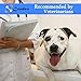 Coodeo Dog Lift Harness, Pet Support & Rehabilitation Sling Lift Adjustable Padded Breathable Straps for Old, Disabled, Joint Injuries, Arthritis, Loss of Stability Dogs Walk (Blue, XL)