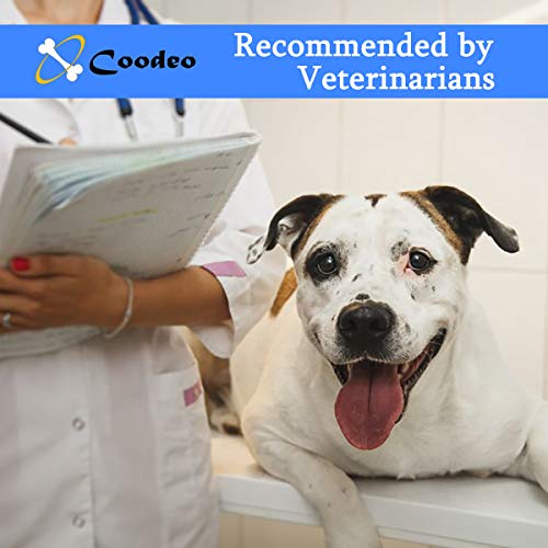 Coodeo Dog Lift Harness, Pet Support & Rehabilitation Sling Lift Adjustable Vest Breathable Straps for Old, Disabled… - Image 4