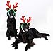 Midlee Christmas Reindeer Antlers with Ears for Large Dogs