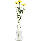 18CM Clear Glass Vases Small Caliber Bud Vase Single Stem Vase Mini Plant Vase Decorative Vase for Living Room Tabletop Bedroom Ornaments Home Decor