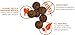 Blue Dog Bakery Natural Dog Treats, Doggie Paws, Grain Free, Peanut Butter Flavor, 24oz (1 Count)