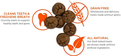Blue Dog Bakery | Dog Treats | All-Natural | Peanut Butter & Molasses - Thumbnail 3