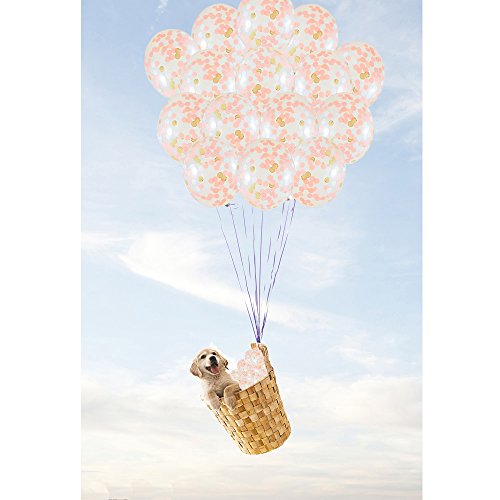 image for SOTOGO 15 Pieces Rose Gold Confetti Balloons 12 Inches Large Rose Gold