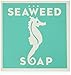 Swedish Dream Moisturizing Seaweed Soap (Havstang Tval)-4.3 oz Bar by Kala