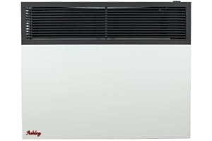 ASHLEY HEARTH Ashley Direct Vent Wall Heater Dual Fuel 25,000 BTU