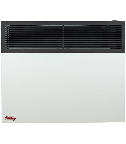 Rinnai FC824N Ventless Natural Gas Heater, Energy-Efficient Space