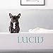 LUCID 10 Inch 2019 Gel Memory Foam Mattress - Medium Firm Feel - CertiPUR-US Certified, Twin