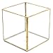 Koyal Wholesale Geometric Terrarium Glass Table Decoration, Planter for Succulents, Cactus, Air Plants, Indoor Plants, Outdoor Plants (4-Inch Cube, Gold)