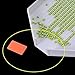 Xiangfeng 8 Pcs Bead Sorting Trays Diamond DIY Tools Paint Mixing Trays Plastic Tray Diamond DIY Trays Drill Plate Painting Accessories for DIY Art Craft