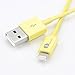 [Apple MFI Certified] 1byone Lightning to USB Cable 3.3 Feet (1 Meter) for iPhone 7 7 Plus 6s 6 Plus 5s 5c 5, iPad mini, iPad Air, iPad Pro, iPod touch 6th Gen/nano 7th Gen, Yellow