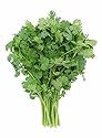 Locally Grown Cilantro, 2 Bunches