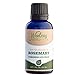 Woolzies 100% Pure & Natural Rosemary Essential Oil 1 Oz - Stimulating Scalp Treatment for Healthy Hair Growth - Anti Aging - Skin Care For Acne & Wrinkles - For Diffusion & Topical Use - Aromatherapy