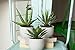 Nearly Natural 4769 Southwest Collection Agave Plant, Green, Set of 3