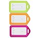Mifflin-USA Luggage Tags (Neon, 3 PK), Bag Tag for Baggage, Suitcase Tags Bulk