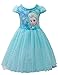 Eyekepper Kids Children Girls Cartoon Elsa Princess Cosplay Mesh Bubble Dress