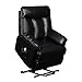 Domesis Renu Leather Power Lift Chair Recliner, Black