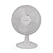 Westinghouse 12” Oscilating Desk Fan