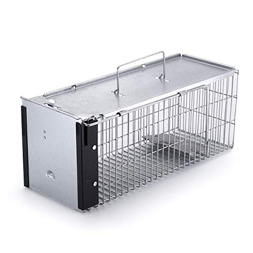 Faicuk Heavy Duty Squirrel Trap Chipmunk Trap and Other Similar-Size Rodents - 16