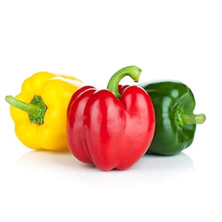 Seeds Point Rare Hybrid Mixed Orange,Red And Yellow - Capsicum Mixed Colours Vegetable Seeds (20+ Seeds)