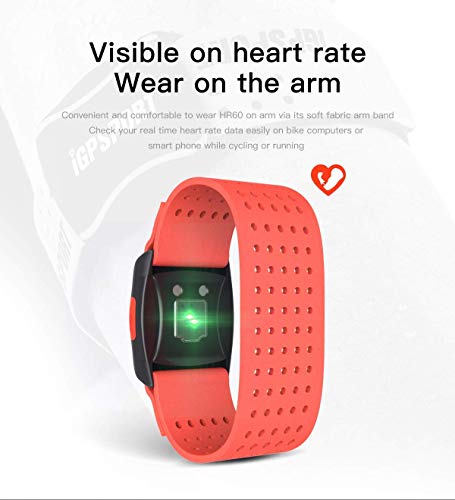 iGPSPORT Heart Rate Monitor Armband Optical HR60 Sensor with ANT+ and Bluetooth - Red