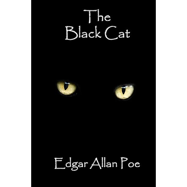 Amazon.com: Black Cats Tell All: True Tales And Inspiring Images