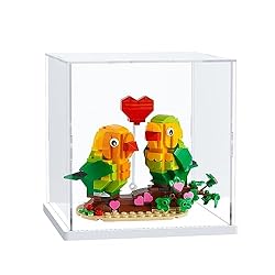 Nynelly Acrylic Display Case, Clear Display Case