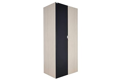 Godrej Interio New Florid Pro 2 Door Wardrobe Matte Finish