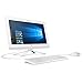 HP Pavilion 19.5 Inch All-in-One Premium Flagship Desktop Computer (Intel Dual Core Celeron J3060 1.6GHz, 4GB RAM, 1TB HDD, DVD, HDMI, USB 3.0, Webcam, WiFi, Windows 10) (Renewed)