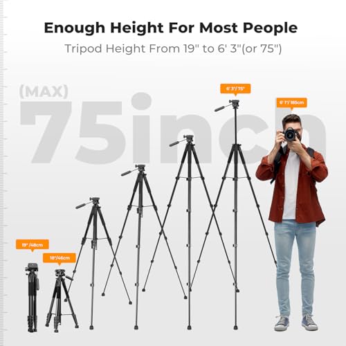 K&F CONCEPT 75" Lightweight Tripod, Camera Compact Tripod with Remote and 2-in-1 Phone Holder,Travel Phone Tripod with Removable 3-Way Pan Head for Selfie/Video Recording/Photo/Live Stream/Vlog