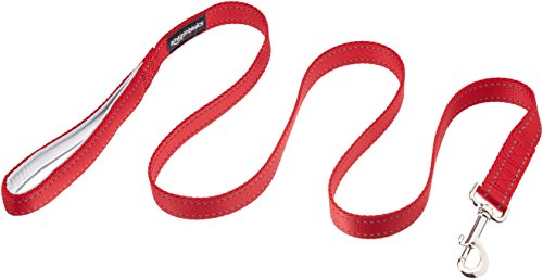 AmazonBasics Padded Handle Dog Leash - 4-Foot, Red