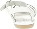 Salt Water Sandals by Hoy Shoe Sun-San Strappy,White,9 M US Toddler