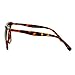 SA106 Runway Fashion Metal Bridge Trim Oversized Cat Eye Sunglasses Tortoise Shell