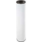 Pentair Pentek RFFE20-BB Big Blue Water Filter, 20-Inch, Whole House Radial Flow Iron Reduction Replacement Cartridge, 20" x 4.5", White